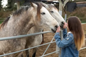 Bodysoul állatok blog