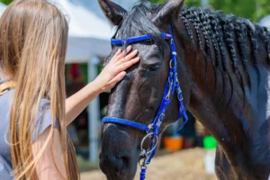 Bodysoul Kommunikáció